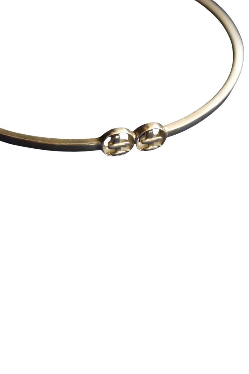 Twin Lingam Bangle (Silver)