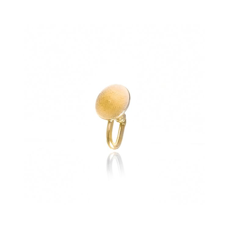 Dot Medium Nosepin Gold-plated