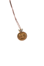 Load image into Gallery viewer, Vijaya Moon Coin Necklace (Silver)
