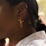 Meenakshi Parrot